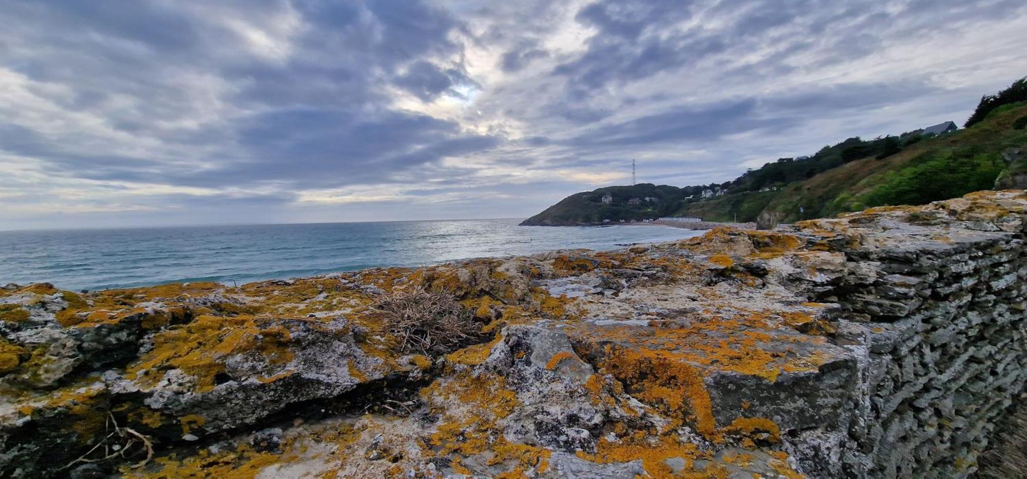 Gite 4 Personnes Avec Piscine Et Bain Nordique Proche Des Plages Du Debarquement Le Manoir  Экстерьер фото